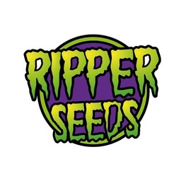 [RS1CH] Chempie 1 Fem Ripper Seeds