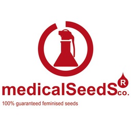 [MSF3DF] Devil Fruit 3 Fem Medical Seeds
