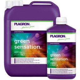 [PLGS5] Green Sensation 5 L Plagron