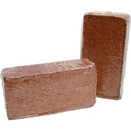 [LADCO] Coco Ladrillo THC 24 uds