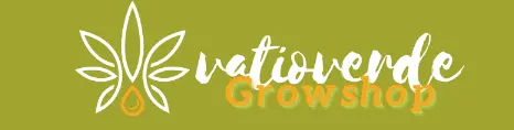 www.vatioverde.com